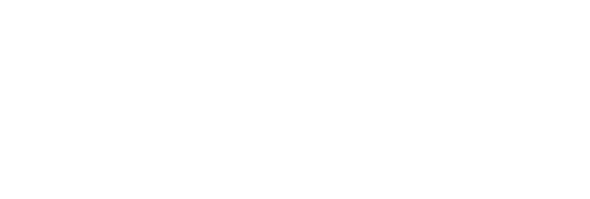 Light Logo